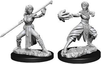 Half-Elf Monk Female (Nolzurs - W10)